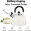 Belfry Kitchen Brittanie 2.64L Stainless Steel Whistling Stovetop Tea Kettle