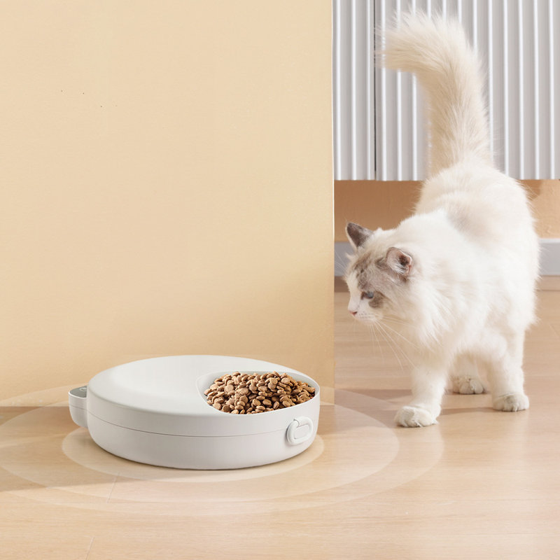Hybrid Feeder/Toy