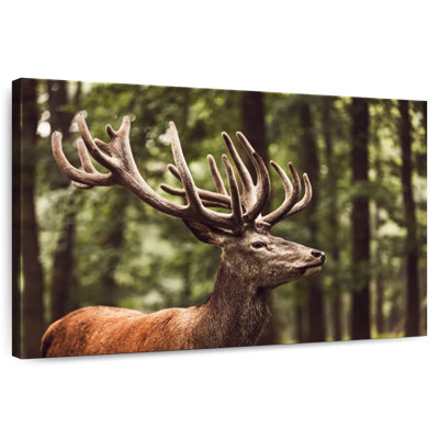 Rêve de cerf Brampt