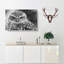Little Owl - Wrapped Canvas-56629804