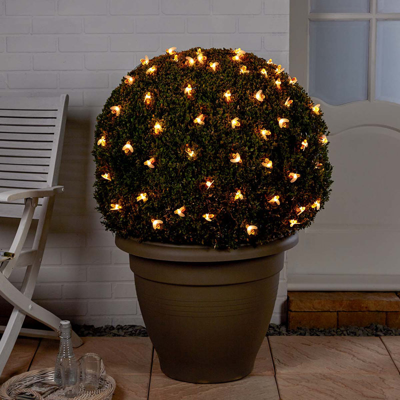 Tackett LED Solar Powered Fairy String Light, Warm White, 5M