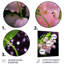 «Rose Lily of the Valley Flower Morning Bliss», art mural lys-400343936-400343937