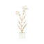 Carnation On Alabaster Stand