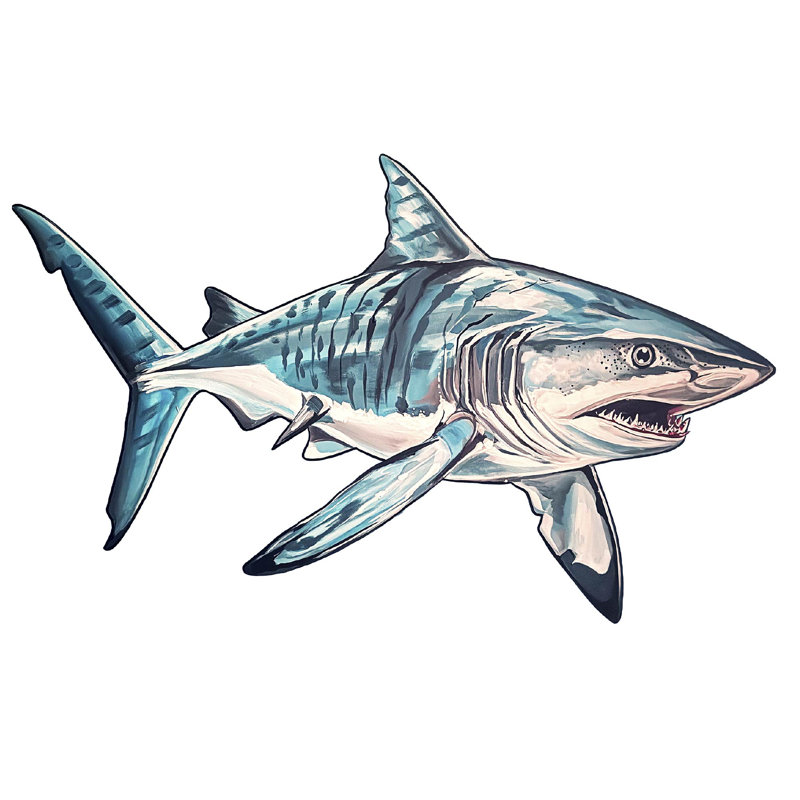 Décalcomanie murale Studio Series "Tiger Shark" par Todd Laslo