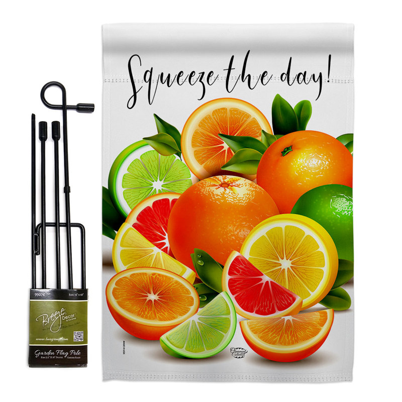 Double Sided 18.5'' H x 13'' W Polyester Flag Set