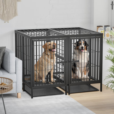 Chellsea Steel Pet Crate with 2 Doors