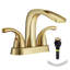 2-handle Bathroom Faucet with Drain Assembly-72853603