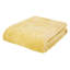 Raschel Velvet Touch Blanket Throw-41030151-116489937
