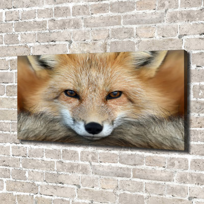 Fox - Wrapped Canvas Print
