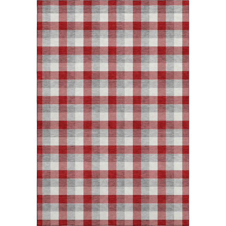 Premium Machine Washable Crumley AMF1053 Plaid Rug