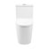 Dreux One Piece Elongated Dual Flush Toilet with 0.95/1.26 GPF