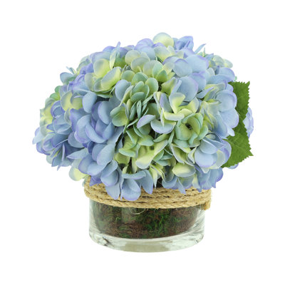 Hydrangea in Glass vase with Moss