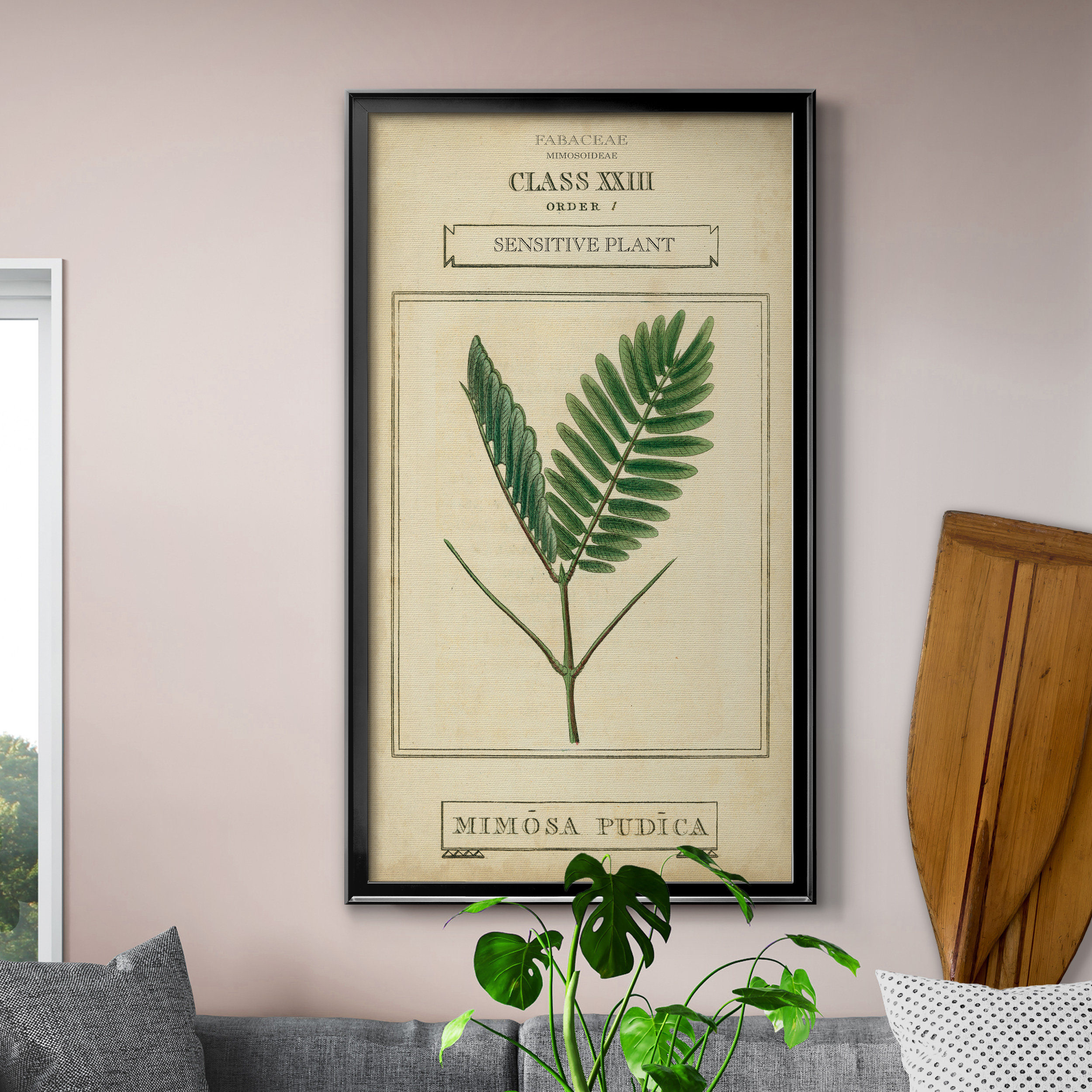 August Grove Linnaean Botany IV - Picture Frame Print on Canvas ...