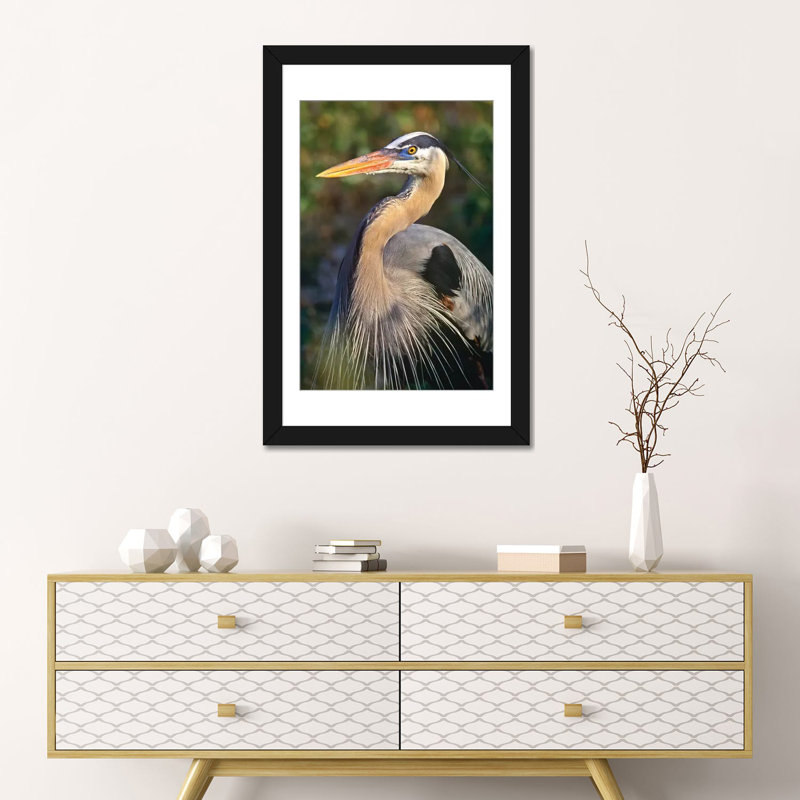 «Great Heron, North America», impression sur toile, H 24 po x l 16 po x P 1 po, Papier d'art encadré noir, Blanc