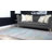 Oriental Indoor Rug-19389156