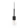Roswell 1 Light Pendant