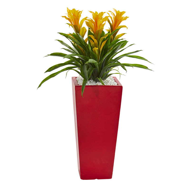 Arrangement floral triple bromeliad en pot, Rouge, Rouge