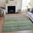 Machine Washable Indoor/Outdoor Cadence ACN2158 Abstract Rug-569303232