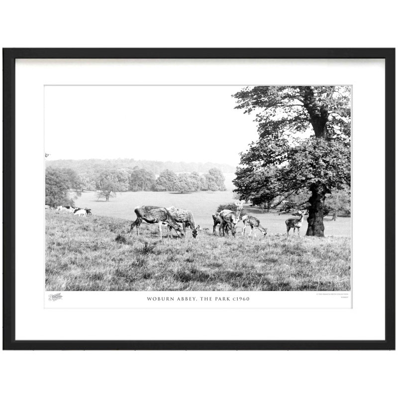 Woburn Abbey, The Park C1960 - Single Picture Frame Print, 28cm H X 36cm W x 2cm D