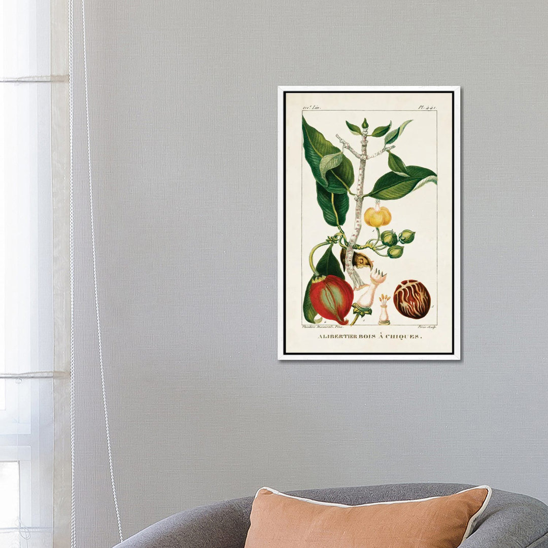 Turpin Foliage & Fruit III von Turpin - Galerie-umwickelte Leinwand Giclée auf Leinwand