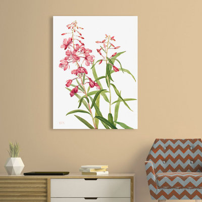 Fireweed, 1902 1 Piece Wrapped Canvas Painting