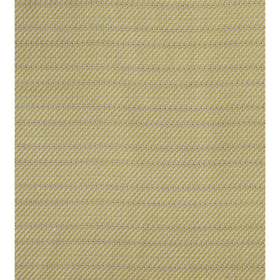 Camden Neal Citron Fabric