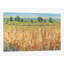 «Field II» par Timothy O 'Toole - impression sur toile tendue-29437130-73574523-73574529