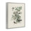 Oiseaux variés dans la nature rétro, estampe numérique, design par Wild Apple Portfolio