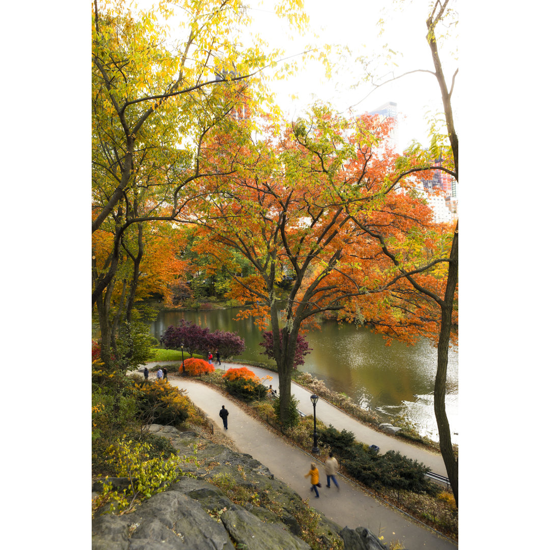 Herbst im Central Park von Pawel Gaul - Kunstdrucke auf Leinwand