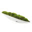 5" Artificial Moss Grass in Boat Tray