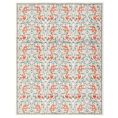 Vintage Floral Rugs for Bedroom, Hallway and Living Room