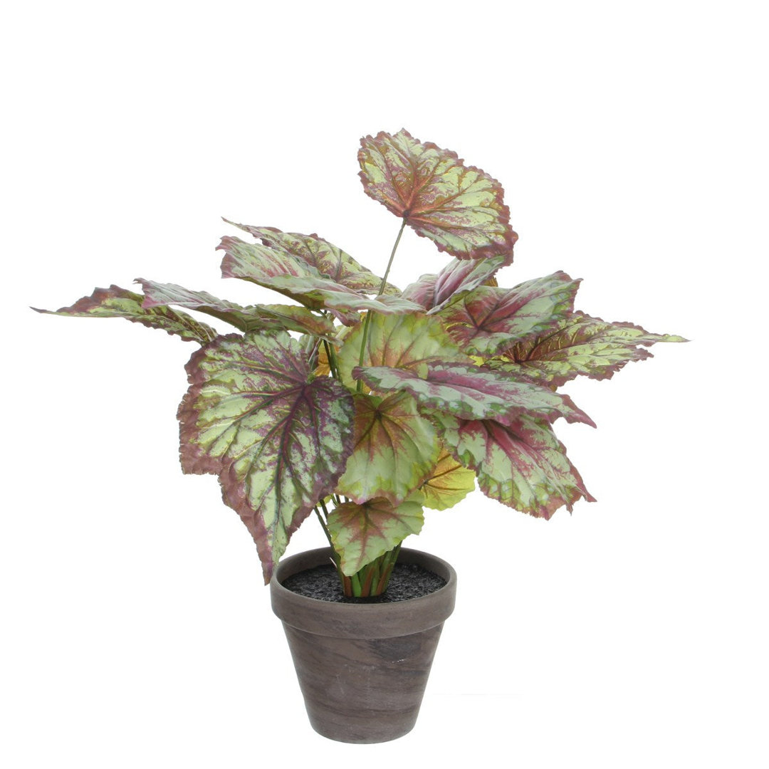 Kunstpflanze Begonia