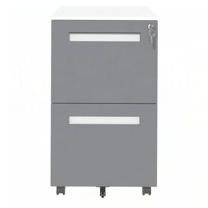 2-Drawer Mobile File Cabinet with Lock, All-Steel Metal Storage on 360° Wheels, Fully Assembled for Home and Office Use