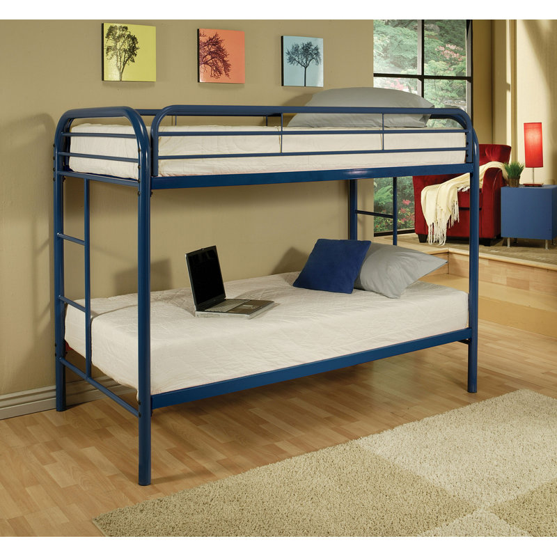 Kimbolton Kids, Blue
