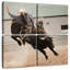 Cowboy Bull Rodeo