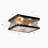 Deanna 3-Light 11" Modern Lantern Glass Flush Mount with Metal Frame
