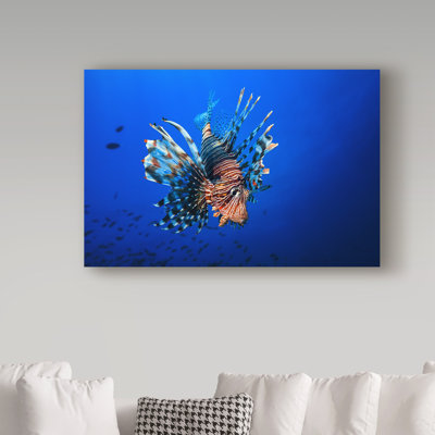 Wrapped Canvas Wall Art - Barathieu Gabriel 'Lionfish' Wall Art for Living Room, Bedroom, or Office Décor - 12x19