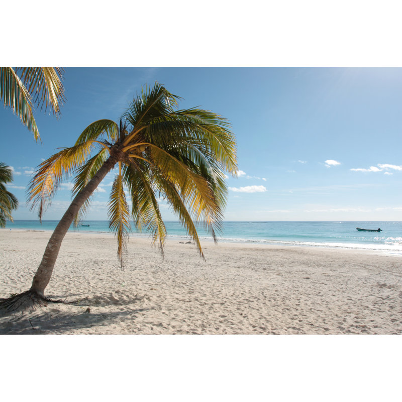 Palm Tree On A Beach - Wrapped Canvas Print, 61cm H x 91cm W x 3.8cm D