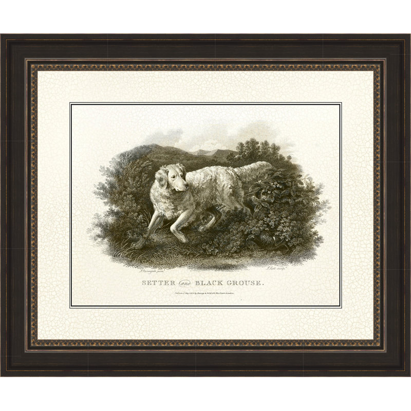 " Antique Setter & Black Grouse "