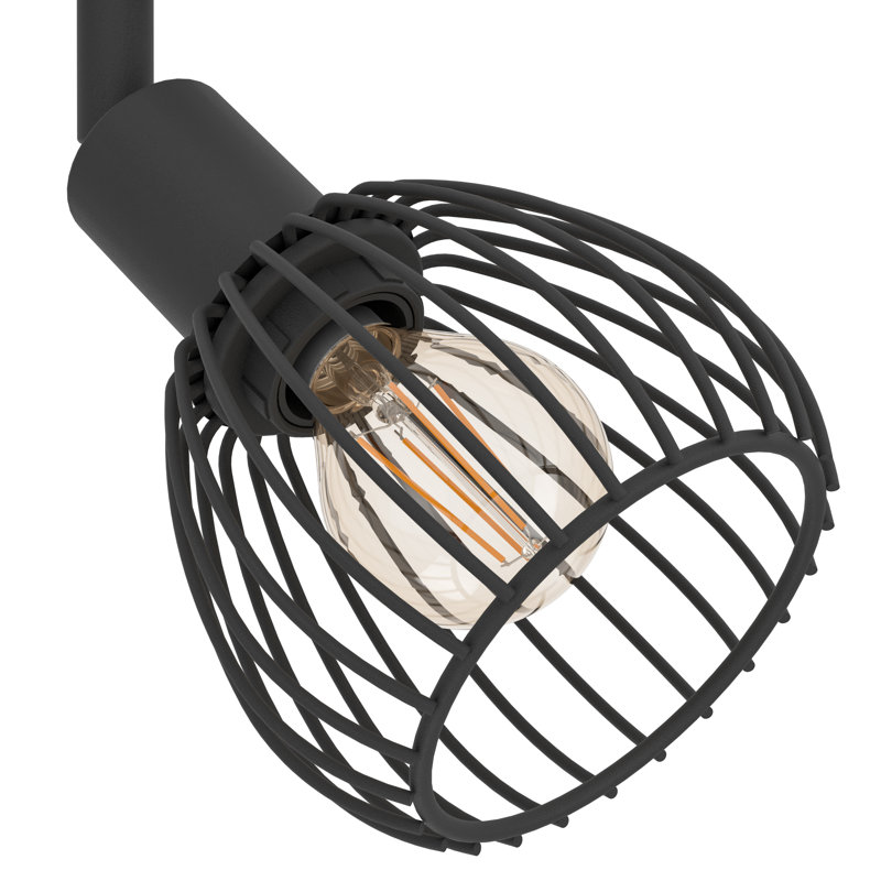 Antasia Spotlight