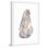 « grey brown cat » par la cartouche sparrow, reproduction d’art encadrée