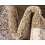 Tapis brun clair Songul-2121054541