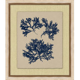 Small Navy Sea Fan 3 Print