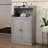 40 Inch Bathroom Cabinets Organizer with 2 Doors,Bathroom Storage Cabinet Bathroom Floor Cabinet Suitable for Bathrooms, kitchens,Living rooms,Gray