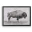 «Wild Bison Study I», impression sur toile encadrée-1140489440-1140489471