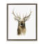 Portrait de cerf, aquarelle-378949373-384326678