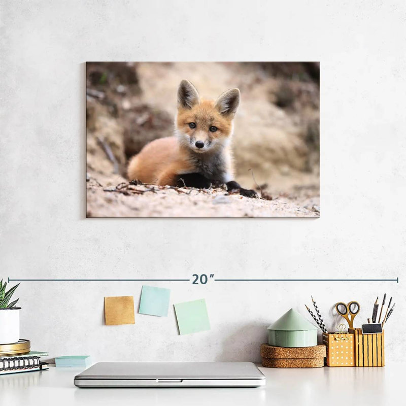 Little Brown Fox, 8" H x 12" W