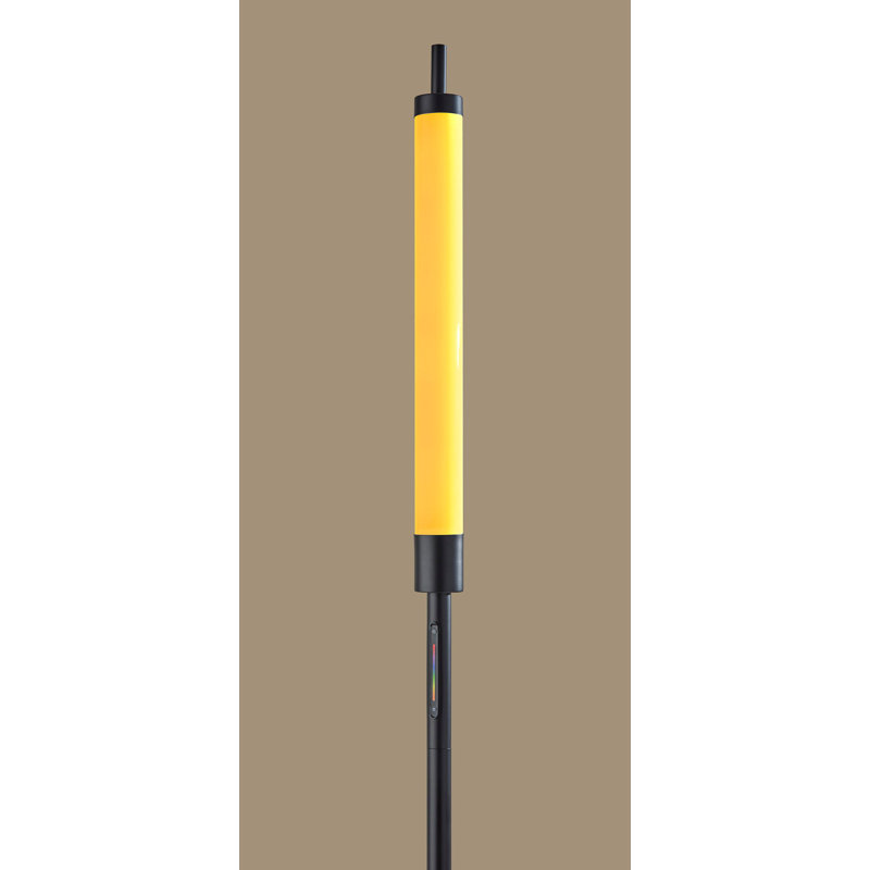 Barcelo 71'' Black LED Column Floor Lamp