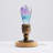 Ghugas Solid Wood Novelty Lamp