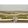 Viviere Forest Sand and Green Soft Low Pile Area Rug